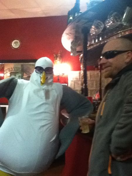 A Seagull walks into a Bar