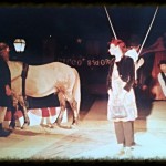Circo-Bidone-with horse in the rig