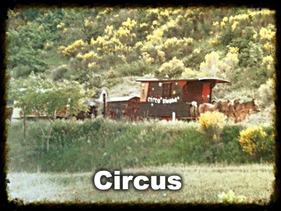 Circus-image-link Circus Bidone