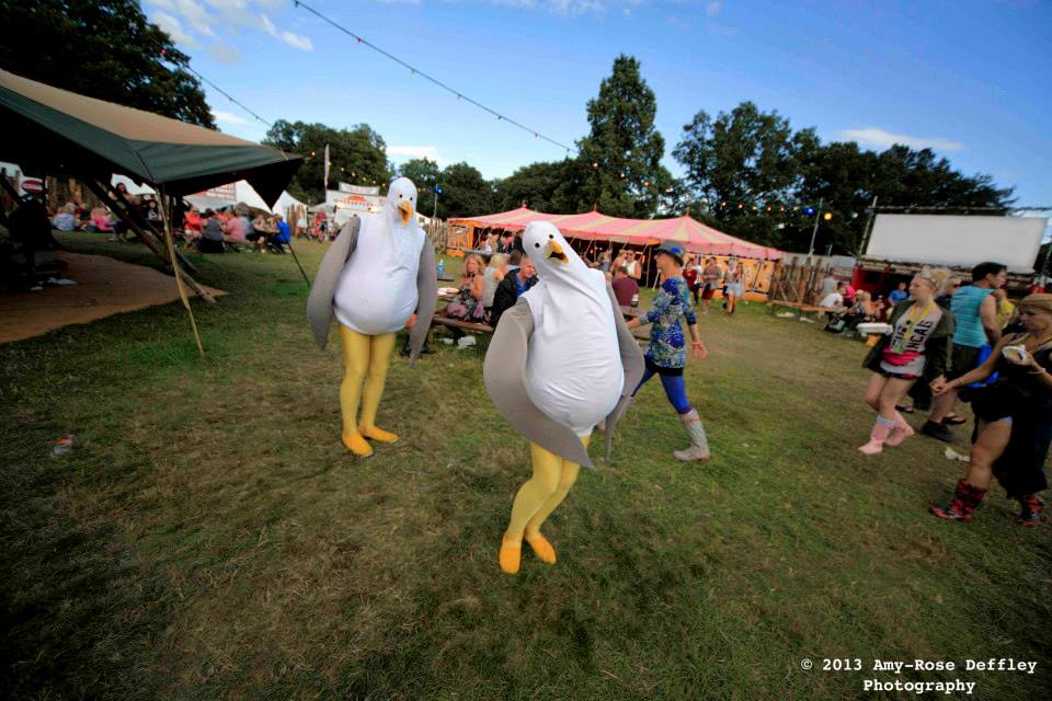 Seagulls at V Festival